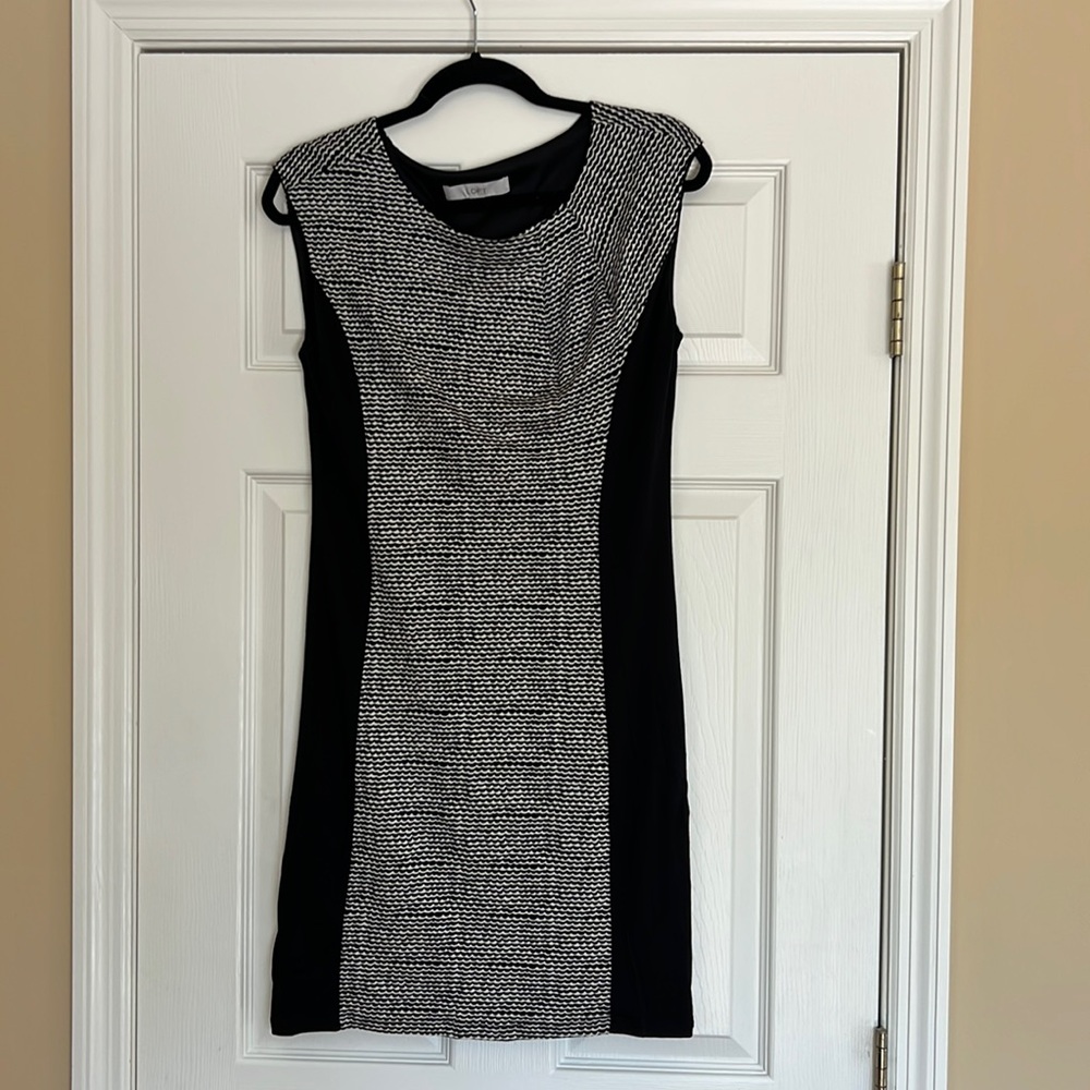 Loft Sleeveless Dress.